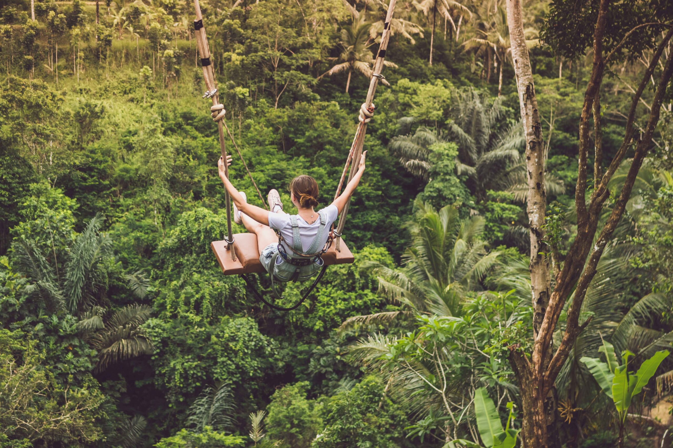 Jungle Swing